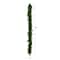10ft. Artificial Real Touch Norfolk Island Pine Garland with Natural Look